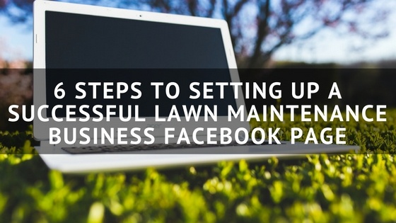 An analysis of the successful lawn care business