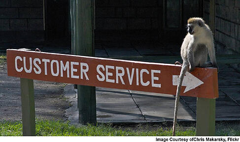 customer experience