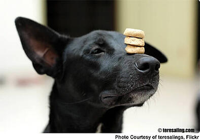 oversee and balance