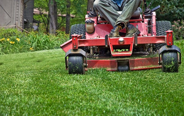 9 Easy Facts About Lawn Care Described