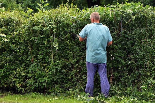 landscape-gardener-409148_640