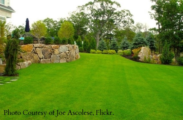 5791327696_1903a33fb7_o_(1) 5791327696_1903a33fb7_o_(1)