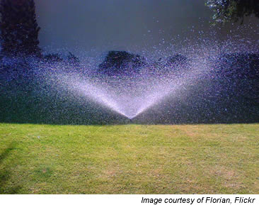 irrigation software