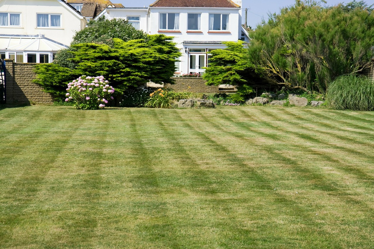 grass-220465_1280