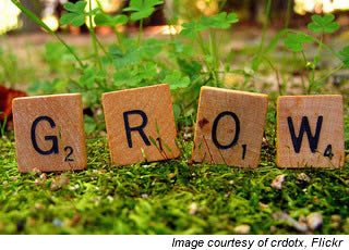 lawn care business