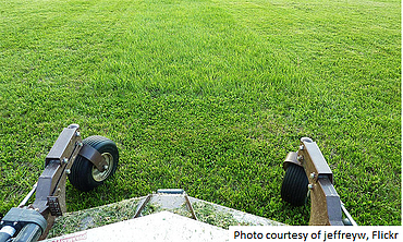 lawn