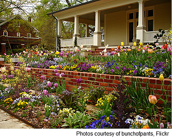 garden