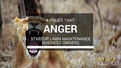 Lawn Maintenance Issues - and how to fix them