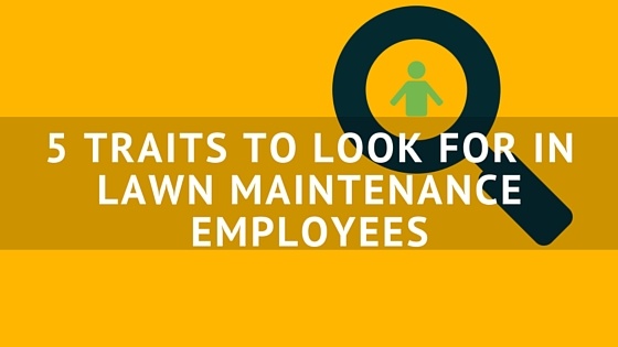 5_TRAITS_TO_LOOK_FOR_IN_LAWN_MAINTENANCE_EMPLOYEES.jpg