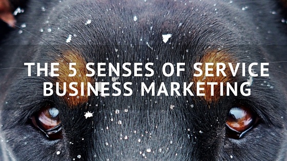 the-5-senses-of-marketing.jpg